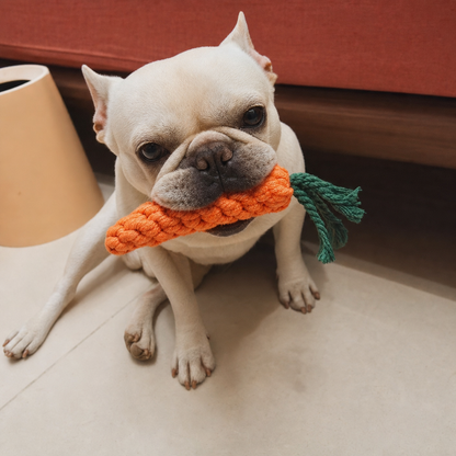 Carrot Rope Chew Toy
