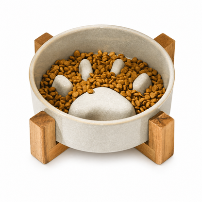 Ceramic Slow Feeder Bowl