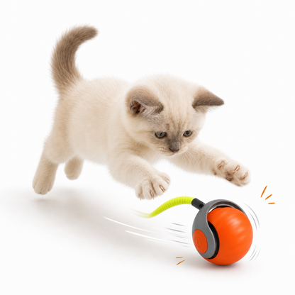 Rechargeable Cat Teaser Ball